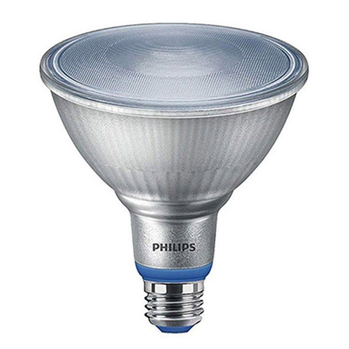 필립스 LED 가정용 식물램프 15.5W PAR38 E26, 백색, 1개 대표 이미지 - 식물등 추천