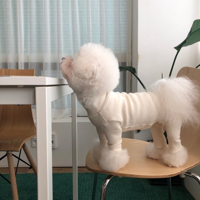 매그독 강아지 콤마 올인원, 아이보리 대표 이미지 - 강아지 티셔츠 추천