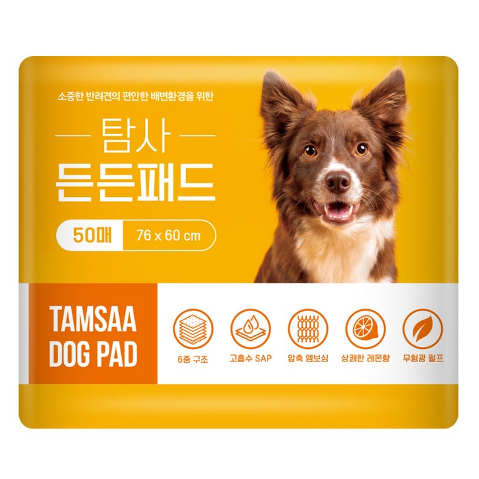 탐사 고흡수 든든패드 레몬향, 50매, 1개 대표 이미지 - 뽀삐뽀 추천