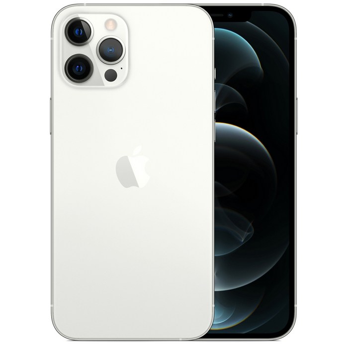 Apple 아이폰 12 Pro Max, Silver, 256GB