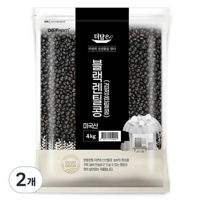 더담은 미국산 블랙렌틸콩 검정렌틸콩, 2개, 4kg 대표 이미지 - 렌틸콩 추천