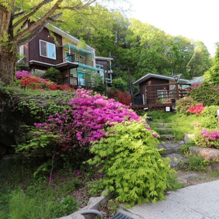 [가평군] 더뮤즈애견펜션(단독애견풀장) 대표 이미지 - 경기도 애견펜션 추천