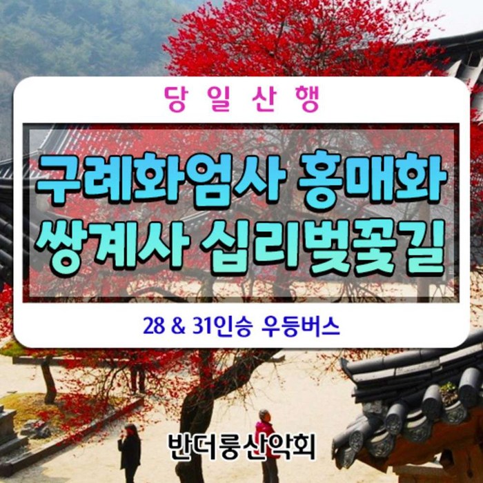 [전남 구례] 출발)3월20일 구례 화엄사 홍매화 쌍계사 십리벚꽃길 28인승 리무진버스 대표 이미지 - 벚꽃 명소 추천