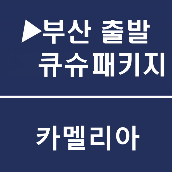 [부산출발] [가성비甲] 카멜리아 하카타역 시내숙박 후쿠오카 유후인 쿠로가와온천♨ 3일 대표 이미지 - 일본 여행 추천