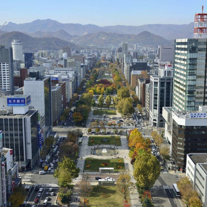 [삿포로] 대구출발 티웨이항공 [출발확정/스마트 초이스] 홋카이도 4일 #JSP641TWX 대표 이미지 - 훗카이도 패키지여행 추천