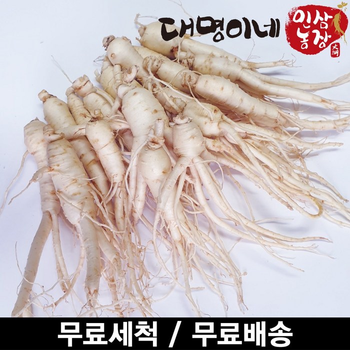 금산인삼 오쿠용 1회분 세척 인삼 수삼 난발 원삼(250g), 1개, 난발 10-25뿌리(250g) 대표 이미지 - 인삼 추천