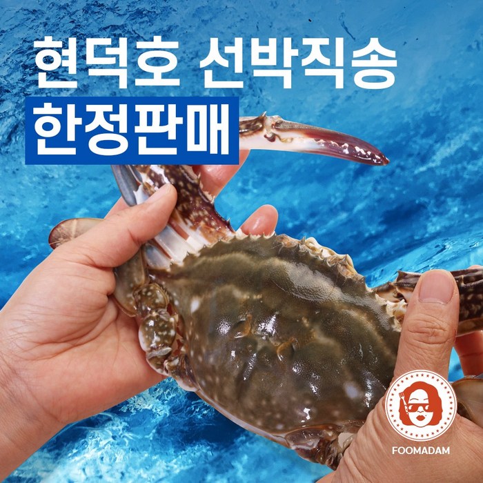 국산 알배기 암 꽃게 산지직송 활꽃게 당일 생물 냉동 서해안 국내산 1kg, 4.급냉 숫꽃게 1kg(게장,찜용 3미 내외) 대표 이미지 - 알배기 암꽃게 추천