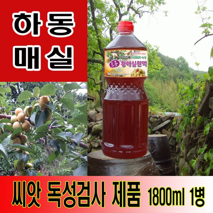 하동 매실원액 지리산산골 3년숙성 토종 황매실원액 1800ml 매실청 매실액기스 매실액, 1개 대표 이미지 - 매실 원액 추천