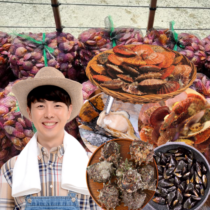 먹사부 통영 활 비단 홍 가리비 홍합 뿔소라 찜용 조개구이 세트 국산 왕 1kg 2kg 3키로 5킬로, C. (세트) 가리비(1kg)+뿔소라(1kg) 대표 이미지 - 개조개 추천