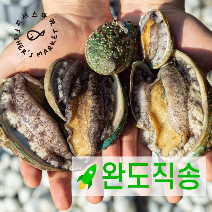 피셔스마켓 완도 활전복 1kg/500g 선물세트, 완도활전복1kg 13-14미 대표 이미지 - 전복 선물세트 추천