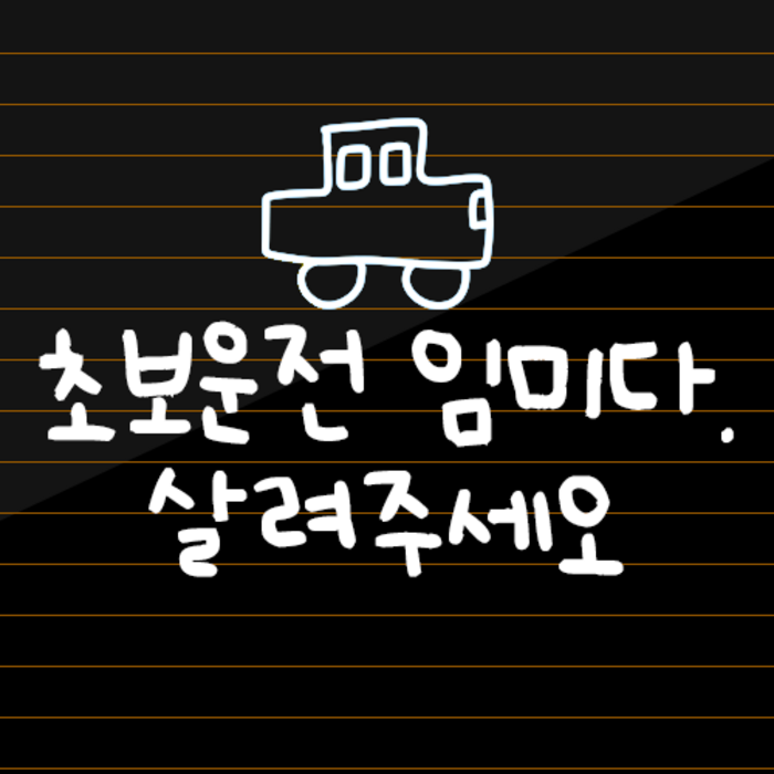 초보운전 스티커 귀여운 차량용 왕초보운전 차량 초보, 화이트, 1개