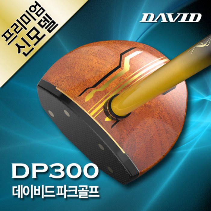 데이비드 프리미엄 파크골프채 세트상품 DP300 골프채 가방 볼 파크골프, 프리미엄 DP300 남성 대표 이미지 - 골프채 풀세트 추천