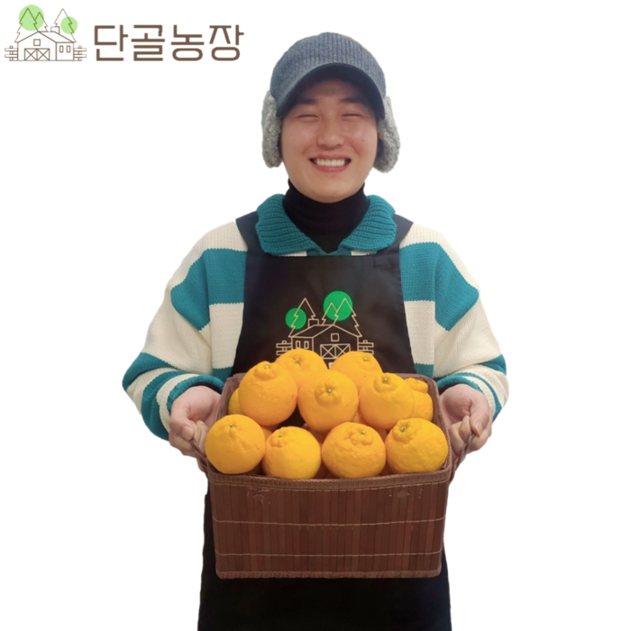 산지직송 제주 특산물 선물 1위 새콤달콤 명품 한라봉, 5kg / 파지 / 혼합과(20~30과 내외) 대표 이미지 - 한라봉 추천