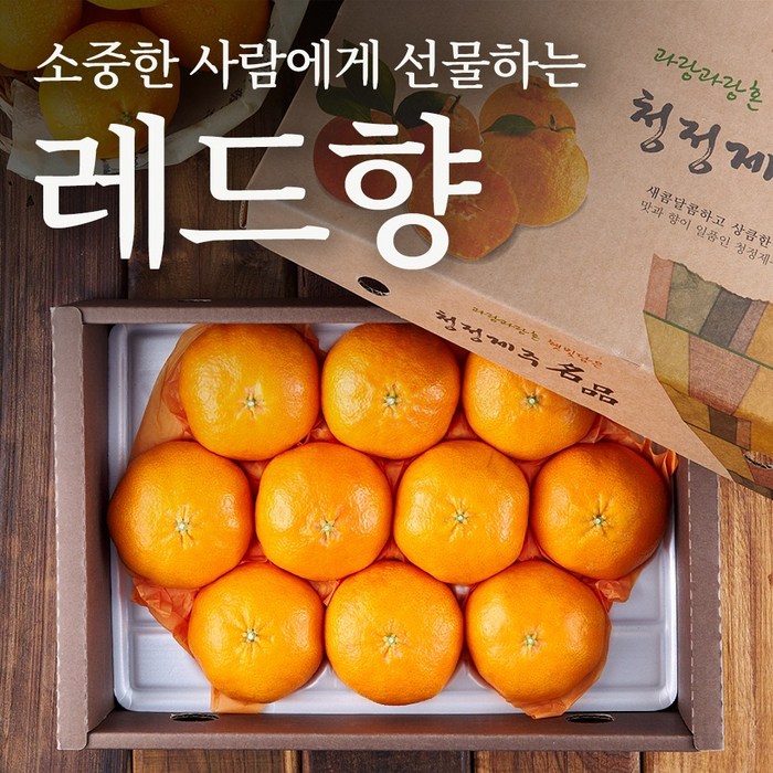 쿠메푸드 제주 산지직송 명품 레드향 백화점 선물세트 로얄과 3kg 5kg 10kg, 일반과 대표 이미지 - 설 선물세트 추천