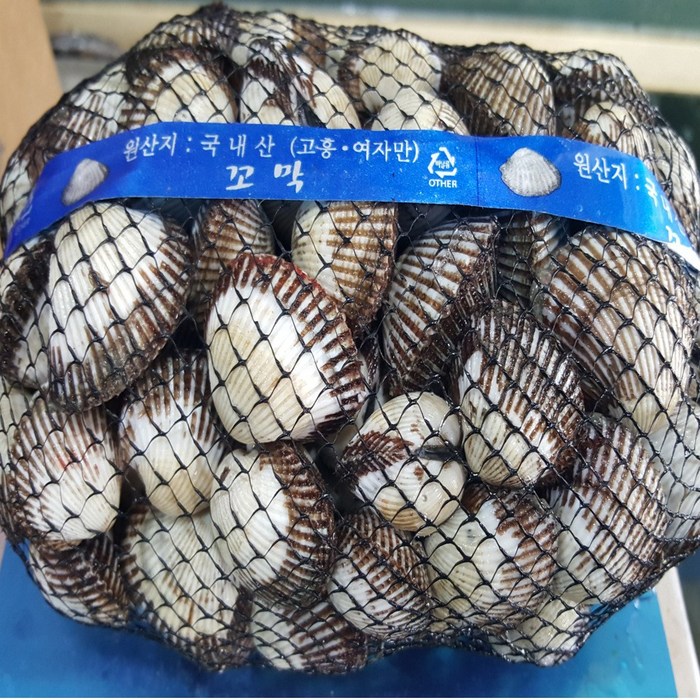 당일 조업 고흥 활 꼬막 중 1kg 대표 이미지 - 꼬막 추천