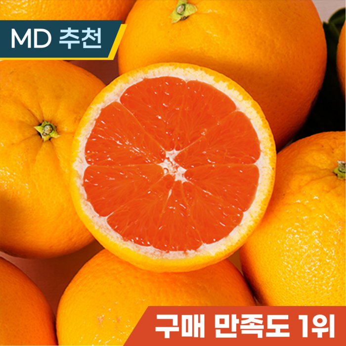 카라카라 오렌지 고당도 프리미엄 orange, 1박스, 대과 10과수 대표 이미지 - 블랙라벨 오렌지 추천