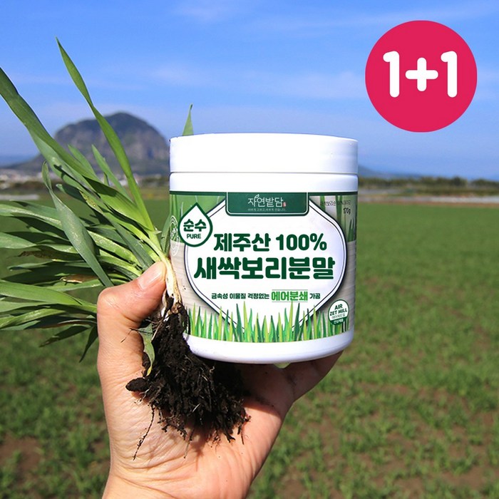 순수 제주 새싹보리 분말 1+1 340g 에어분쇄 친환경 무농약 저온건조 보리어린잎 자연밭담, 2개, 170g 대표 이미지 - 새싹보리 분말 추천