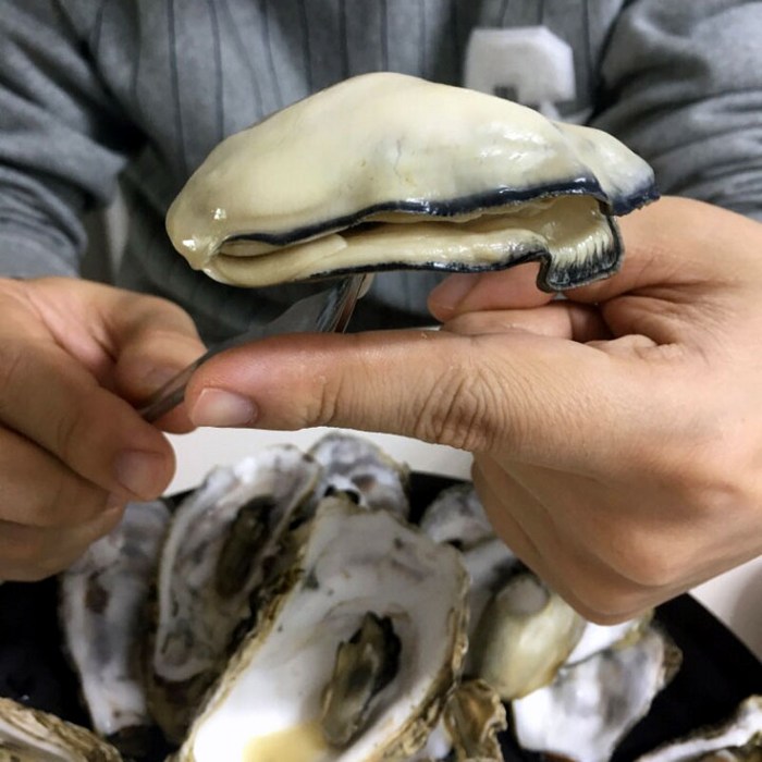 고흥굴 석화 각굴 깐굴 생굴 고흥굴 산지직송 청정바다, 각굴10kg(행사) 대표 이미지 - 석화 굴 추천