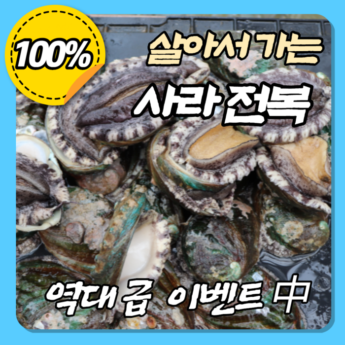 100% 살아서가는 사라전복 전복 특대 1kg 8-9미 전복선물세트 직거래 꼬마 손질 선물용 대형 부모님 선물 세트 생일 스승의날 시부모님 엄마 명절 생신 완도 진도, 15~16미 대표 이미지 - 전복 선물세트 추천