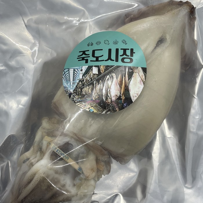 구룡포 반건조오징어 10미 900g, 반건조오징어 10마리 900g 대표 이미지 - 반건조 오징어 추천