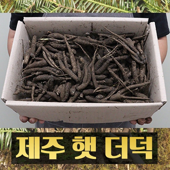 산지직송 달달한 제주 햇 더덕 2kg (작은사이즈), 알뜰실속형 2kg 대표 이미지 - 더덕 추천