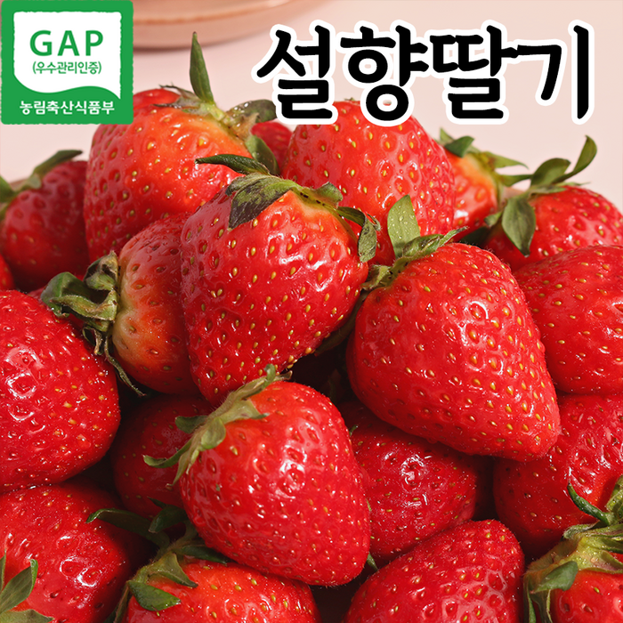 푸릇푸릇 제철 딸기 설향딸기 특사이즈 1kg 2kg, 딸기 2kg (500gx4팩) 대표 이미지 - 금실 딸기 추천