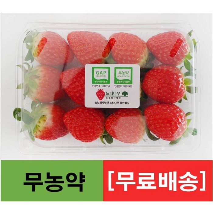 무농약 GAP 논산 설향 딸기 1kg (500g 2팩) 대표 이미지 - 설향 딸기 추천