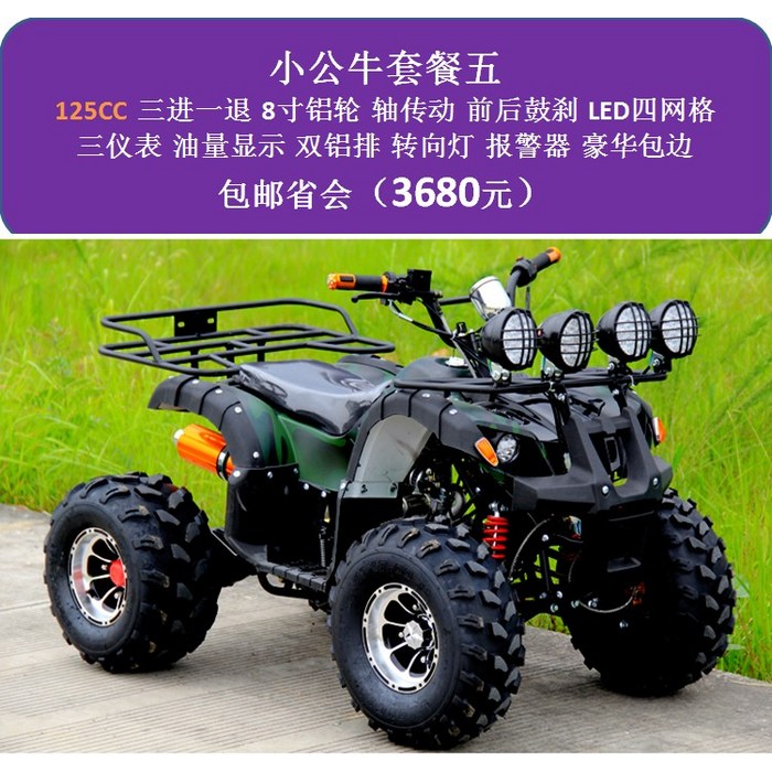 4륜 사발이 농업용 산악 오토바이 맞춤 제작 전지형 ATV 소형 바이크, 타입C