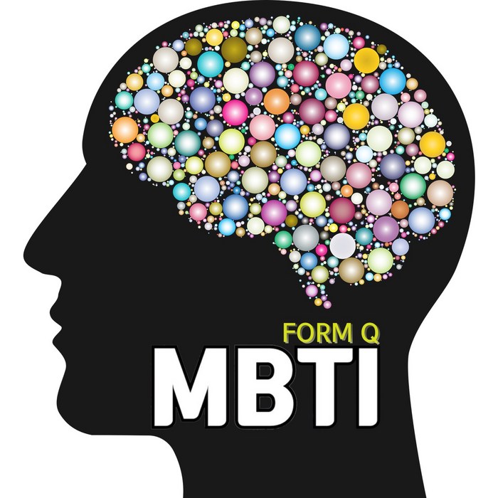 MBTI 정식 심리 검사 전문가 솔루션 온라인용 고급형 Form Q 12장 개인별 보고서 솔루션, MBTI Form Q 대표 이미지 - MBTI 유형별 직업 추천