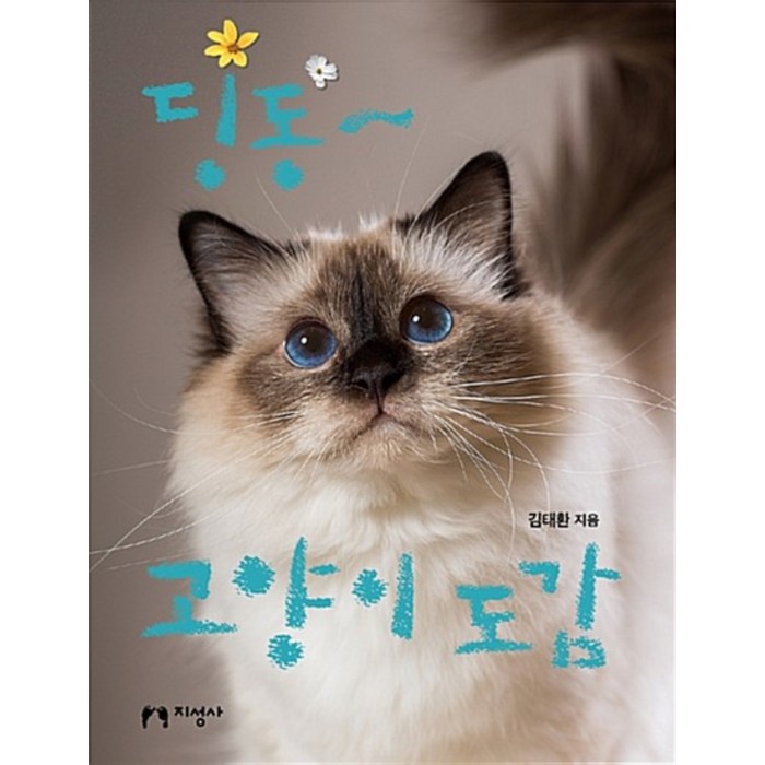 딩동~ 고양이 도감 대표 이미지 - 고양이 키우는 법 추천