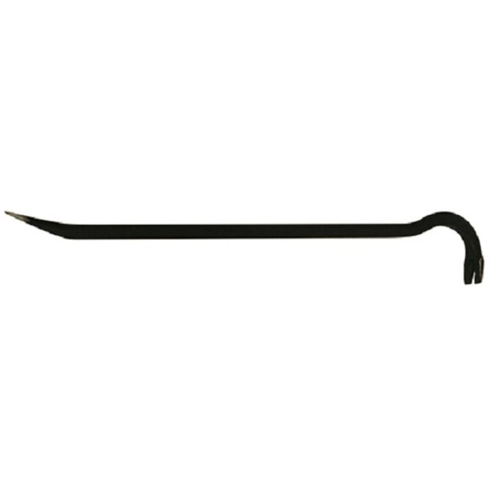  대표 이미지 - 빠루 추천