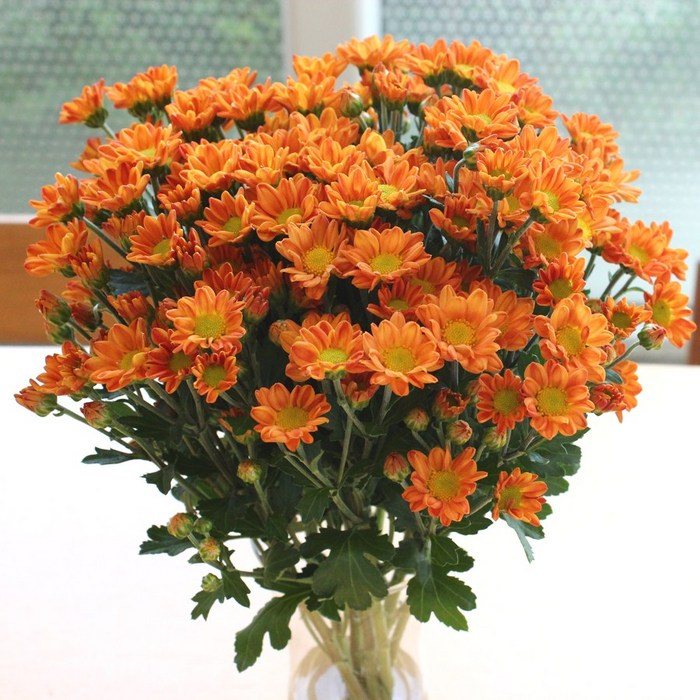 플라로마 소국꽃다발(화병포함) 생일선물 인테리어꽃 전국꽃배달, 골드 대표 이미지 - 골드 화병 추천