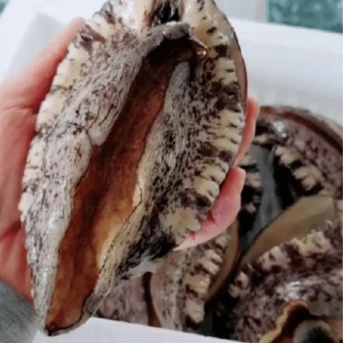 자연그대로 청정드림 (완도 활 전복), 1box, 1kg(8-9미) 특대전복 선물세트 대표 이미지 - 전복 선물세트 추천
