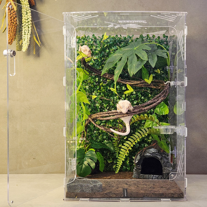 에버리움 크레스티드 게코 도마뱀 아크릴 사육장 세트 - 대형 30x30x45cm