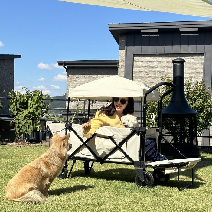 NEW 까로 캠프플러스 올인원 멀티 캠핑웨건 의자 침대 3 in 1 애견 강아지유모차 펫웨건 다견, 1개, NEW 멜란지그레이