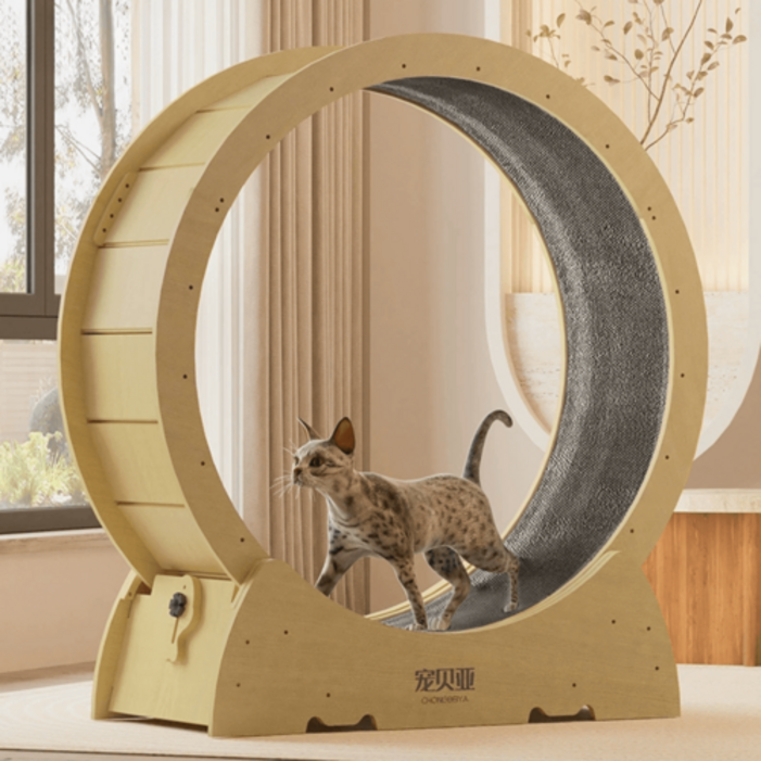 고양이 놀이터 캣휠 다이어트 챗바퀴 대형 무소음 운동