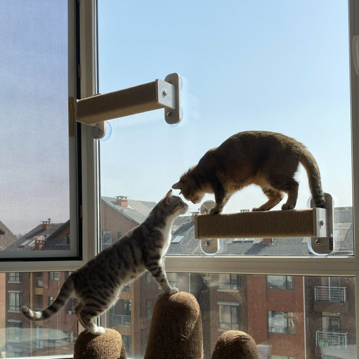헤라우스점핑 튼튼한 고양이 일광욕 해먹 캣타워