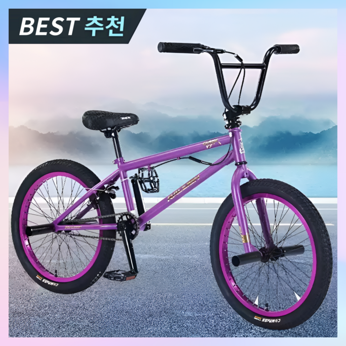 다인테크 튼튼한 bmx 자전거 입문용 익스트림 묘기 한강 바이크 스턴트 성인 20인치, 1개, 142cm, 일반핸들퍼플 프레임블랙타이어