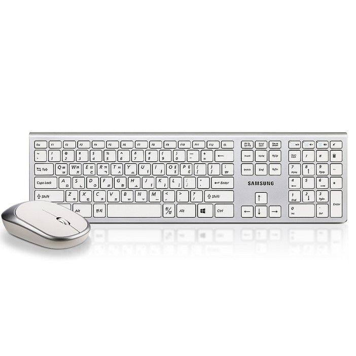 삼성전자 무선 키보드 마우스 세트, 일반형, SRP9500W, 단일색상