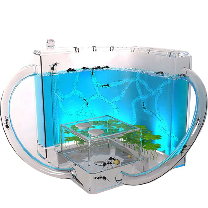 홈앤네이처 LED 개미집 키우기