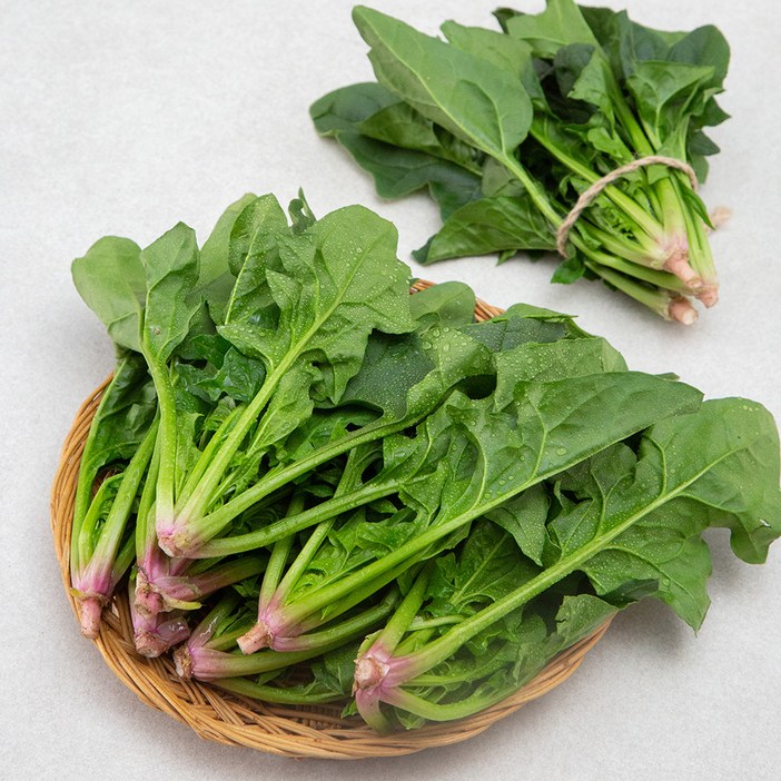 곰곰 농협 보물초 남해 시금치