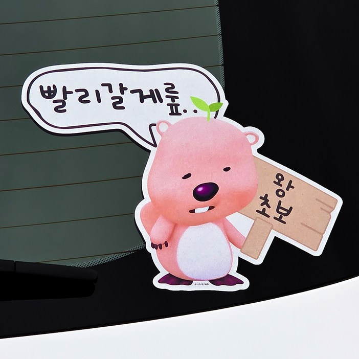 벨르아망 잔망루피 차량용 초보운전 스티커, 그린, 1개