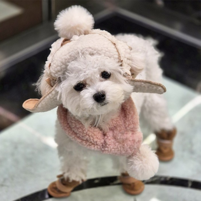 댕냥이 군밤 모자 강아지 털 뽀글이