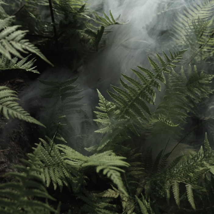 캔들나라 KP 이솝 휠 타입