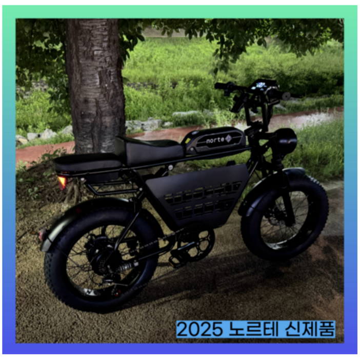노르테 전기 자전거 자토바이 전동 스쿠터 팻바이크 MTB 배달용 출퇴근용, Y1 럭셔리, 스틸