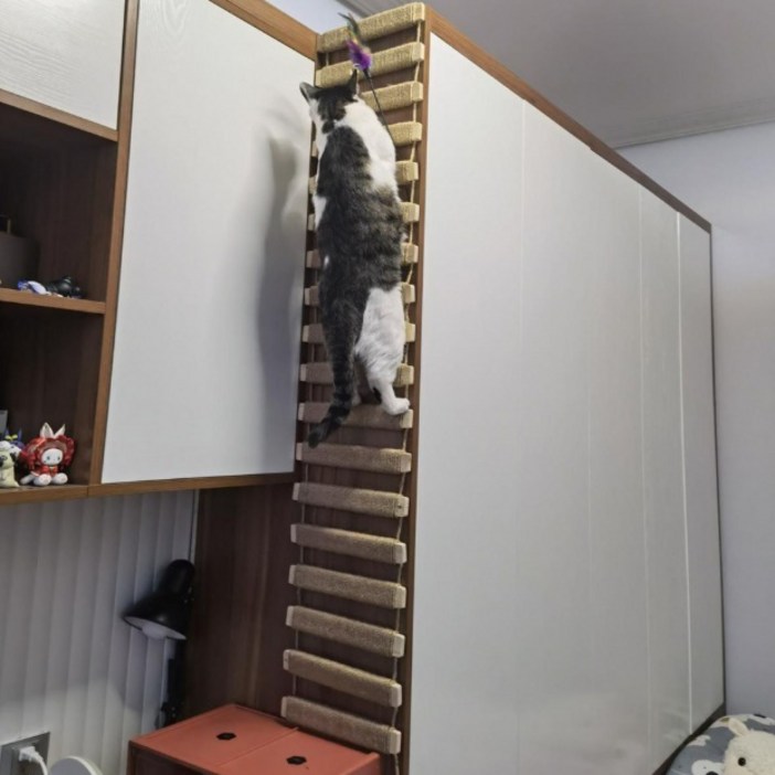 나있고 크레이지 면로프 고양이 사다리 밧줄 나있고 크레이지 면로프 고양이 사다리 밧줄