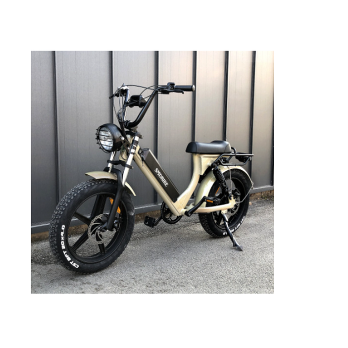 (방배점)SMD바이크 V5 1000W 48V 17AH 20AH 25AH 전기자전거 자토바이