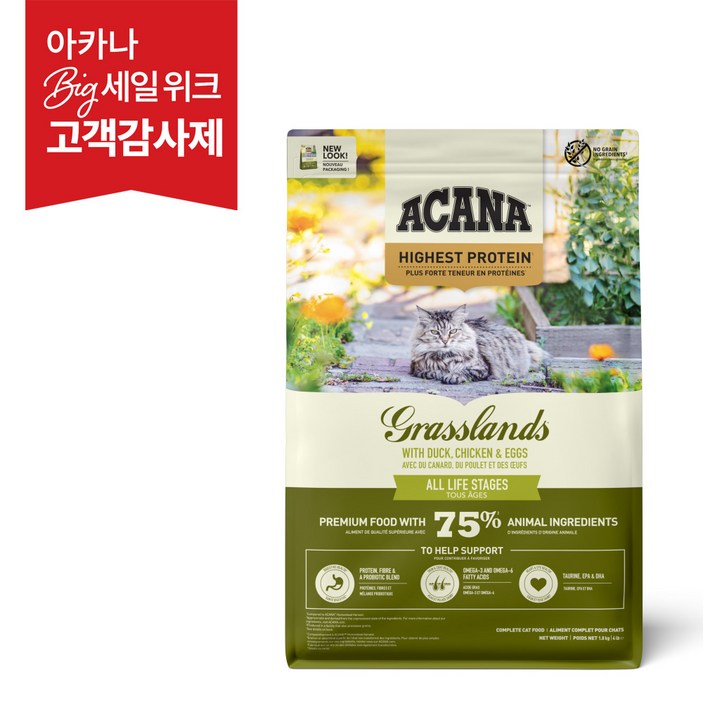 아카나 그래스랜드 캣