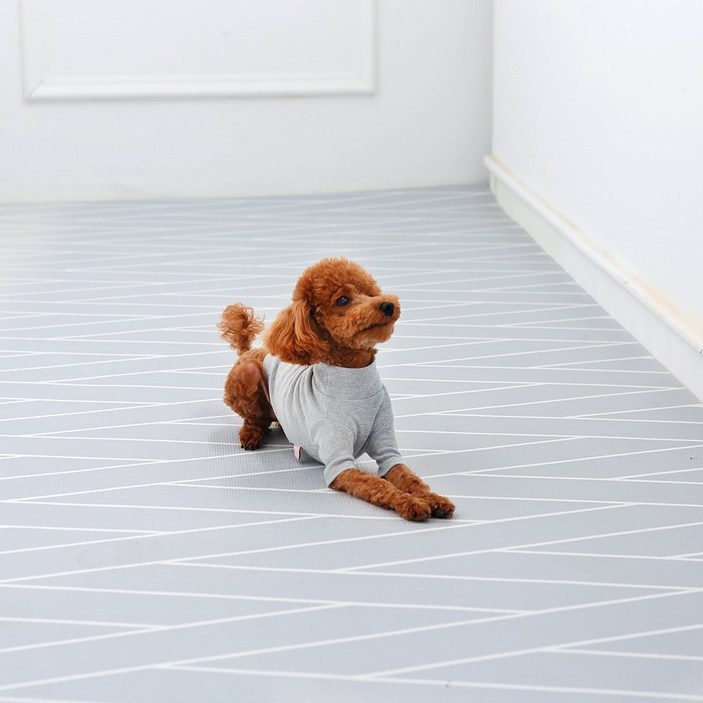 반려동물 미끄럼방지 롤형 매트 셀프시공 방수 애견매트 층간소음 슬개골보호 거실매트 강아지 반려견 펫 고양이