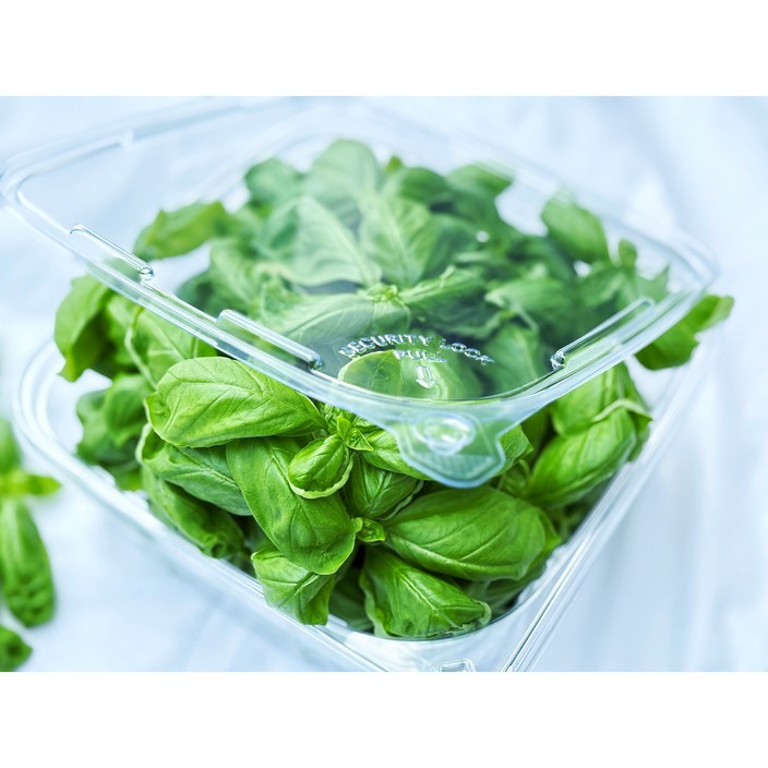 프레시그램 프리미엄 바질 잎 파스타 샐러드 피자 허브 토핑, 100g, 1개